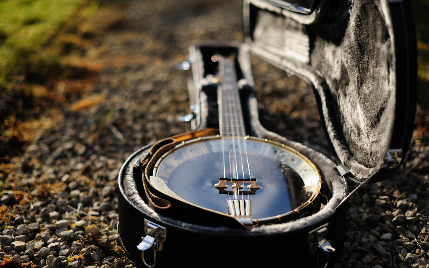 Instrumento de corda: confira 5 dicas para tocar banjo