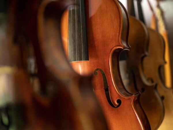 Instrumento de corda: entenda quais as diferenças entre um violino e uma viola