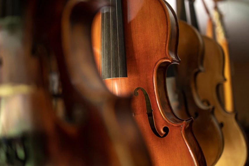 Instrumento de corda: entenda quais as diferenças entre um violino e uma viola