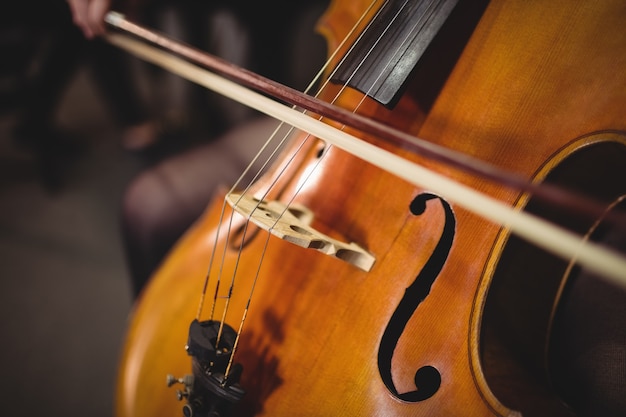 Violino elétrico: qual a diferença para o violino acústico?