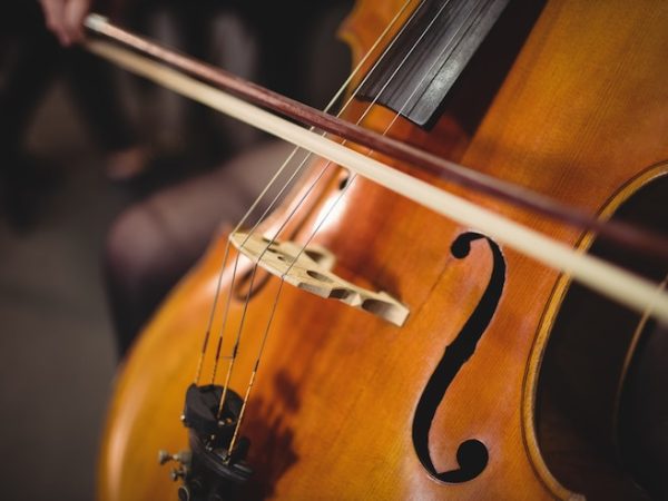 Escolha do Luthier: tudo sobre encordoamentos para violoncelo e violino