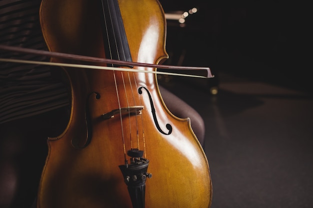 Sinfonia de Cordas: Viola de Arco, Violoncelo e Violino em Harmonia