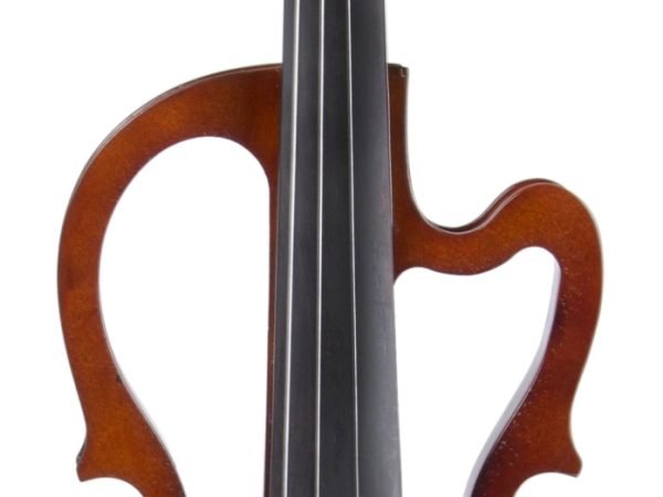 O Refinamento das Cordas: Violoncelo Profissional e Dicas Para Iniciantes